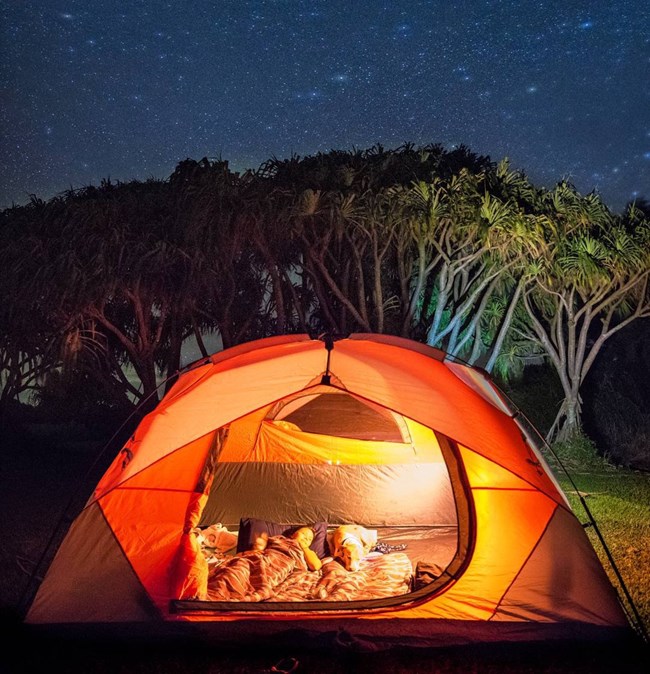 Campers enjoying the coastal campground in an orange tent under hala trees.