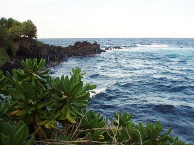Kipahulu Overlook_small Kipahulu Overlook_small