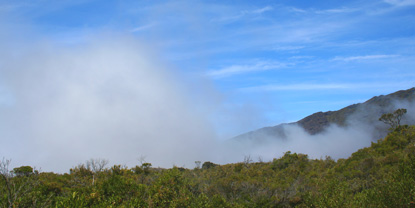Light clouds start to creep up the Kaupo Gap toward the summit