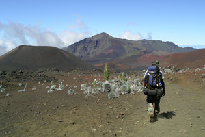 A hiker, loaded with gear, takes to a cinder trail, surrounded by silversword. A hiker, loaded with gear, takes to a cinder trail, surrounded by silversword.