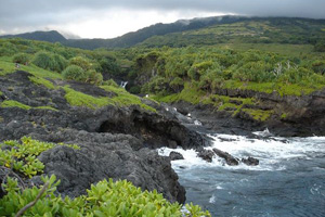 Lush greenery surrounds the freshwater pools and the stream that feeds them. Lush greenery surrounds the freshwater pools and the stream that feeds them.