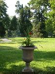 A Garden Urn