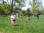 Easter Egg Hunt
