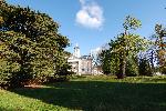 Mansion in bloom