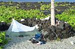 Apua campsite