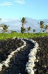 Follow the path
