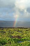 Rainbow blessing