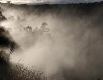 Steam Vents