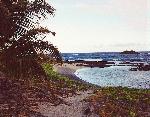 Halape beach