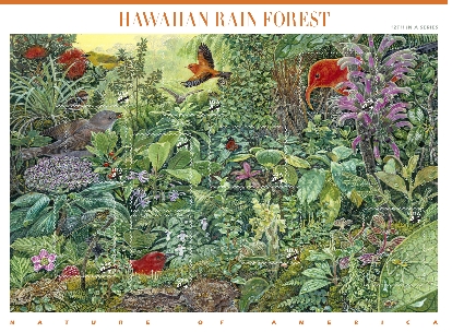 rain_forest_stamp