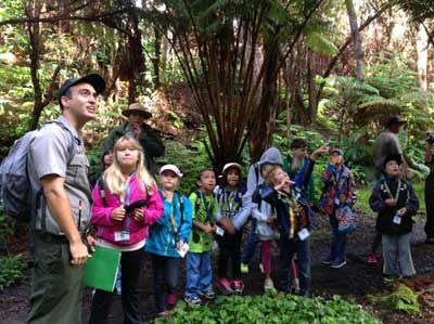 Junior Rangers discover the rainforest in Hawaii Volcanoes National Park