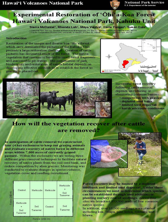 Experimental Forest Restoration