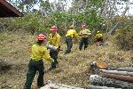 Firecrew Teamwork