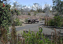 Kulanaokuaiki has 8 individual campsites, each with a picnic table.