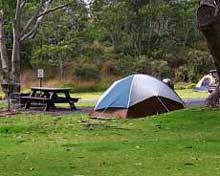 Tent with picnic table in Namakanipaio Campground Tent with picnic table in Namakanipaio Campground