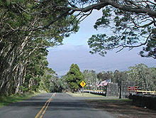 Koa trees frame a scenic view of Mauna Loa from Crater Rim Drive, fronting Kilauea Military Camp.