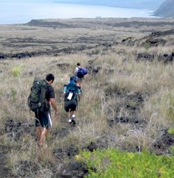 Hikers overlook the coast below while on the Keauhou Trail