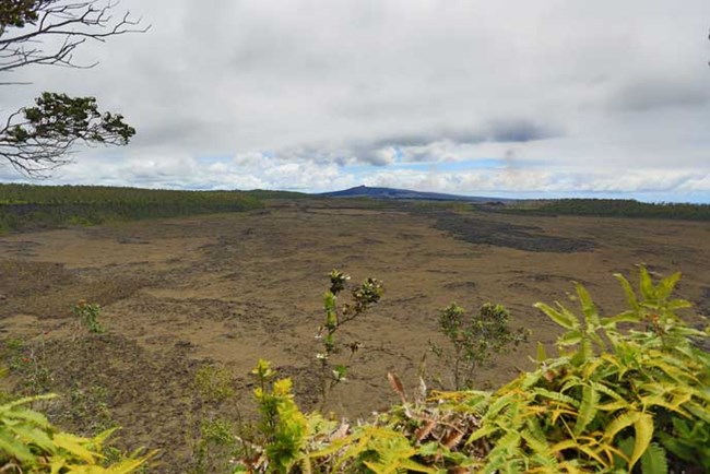 Nāpau Crater overlook. Can you see Pu‘u ‘Ō‘ō ?