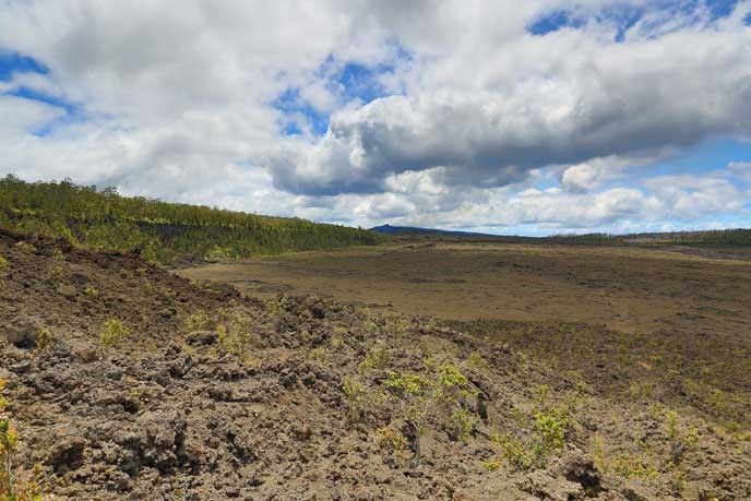 Nāpau Crater northern half