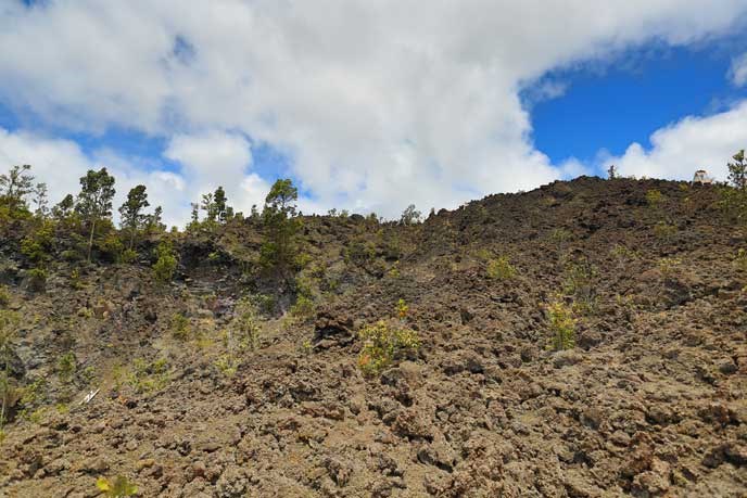 Landslide area of Nāpau Crater rim