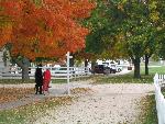 Autumn Visitors