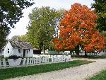 Birthplace Cottage in Autumn