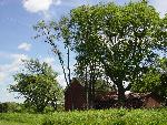 Isaac Miles Farmstead