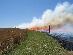 Prescribed prairie fire