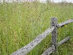 Prairie Fence
