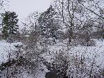Hoover Creek in Winter