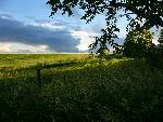 Tallgrass Prairie and Storm Clouds