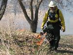 Prescribed prairie fire, April 2009