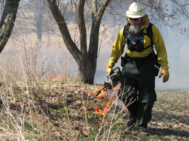 A firefighter ignites grasses at the edge of the prairie.