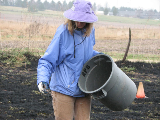 A woman scattering prairie seeds from a gray bucket.