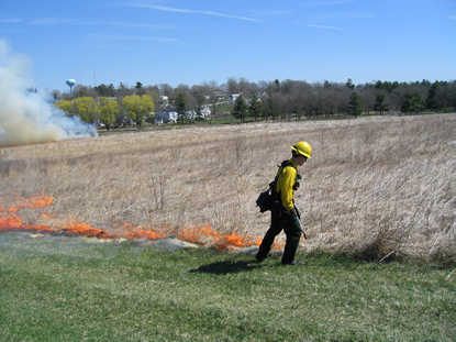 A firefighter in yellow wildland fire gear ignites a section of prairie with a drip torch.