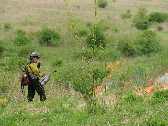 A woman in yellow firefighting gear ignites a green prairie with a drip torch.