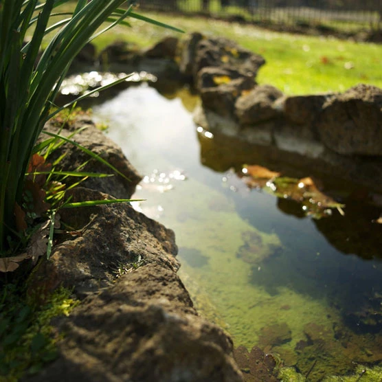 Sun reflects off a rock-lined stream.