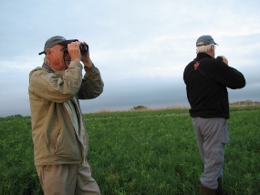 Two men search for birds in the prairie.