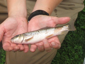 A woman holds a fish in her hands.
