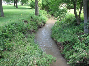 A muddy creek channel flows among greenery.