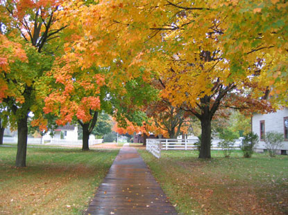 Orange yellow, red, and green leaves color Herbert Hoover National Historic Site in the fall.