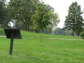 A brown metal sign faces a young maple tree on green lawn.