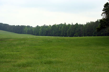 barricade view at Horseshoe Bend NMP