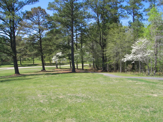 Park trail