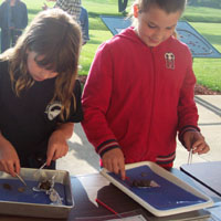 Kids dissecting owl pellets.