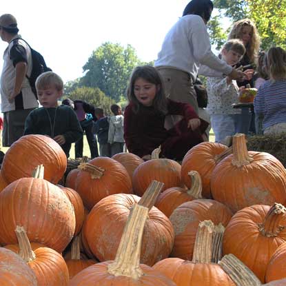 Farm Day at the FDR site