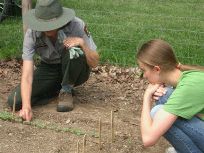 Planting at Val-Kill