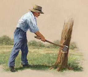 Illustration of a wood chopper cutting down a tree.