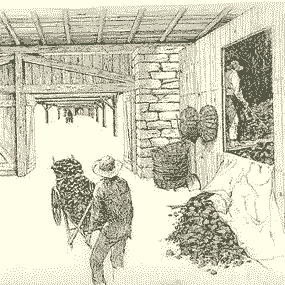 Drawing of interior of charcoal house where the fuel supply for the furnace was stored.