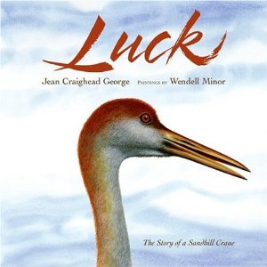 Luck Book
